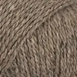 grizzlybjørn