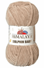 Dolphin baby