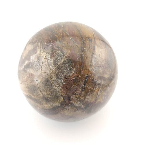 Forstenet træ - kugle  10,50cm - Madagascar - Billede 2