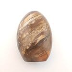 Forstenet træ - 9,2cm høj - Madagascar - Billede 2