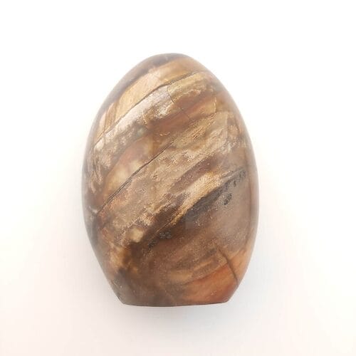 Forstenet træ - 9,2cm høj - Madagascar - Billede 2