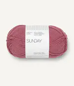 Rasberry Sorbet